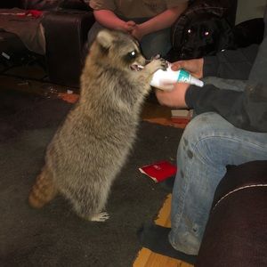 Meet your Posher, Carrie